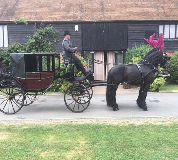 Horse and Carriage Hire in Bristol
